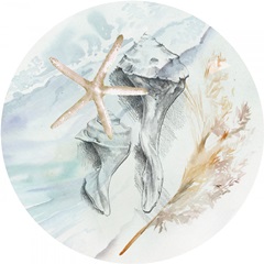 Washed Ashore Collection C