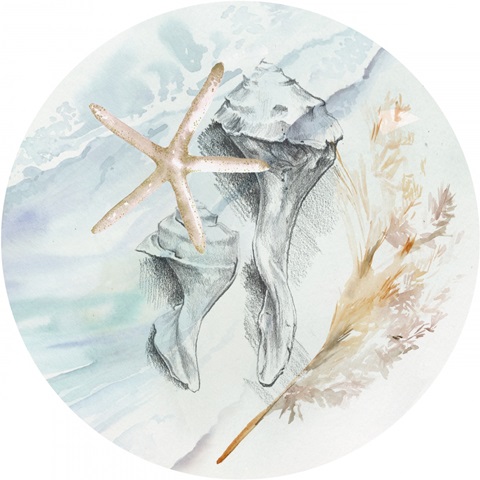 Washed Ashore Collection C