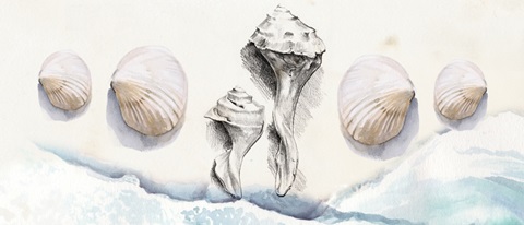 Washed Ashore Collection D