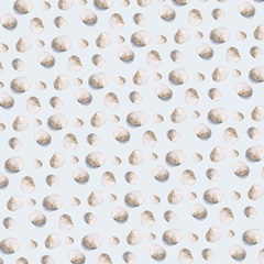 Washed Ashore Collection G