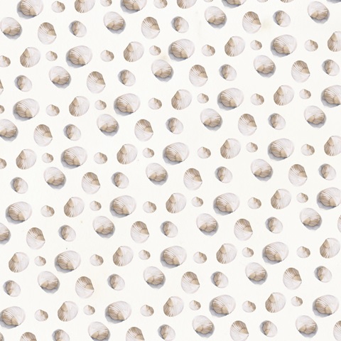 Washed Ashore Collection I