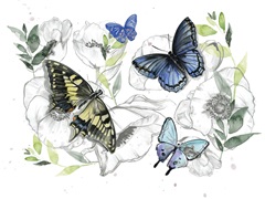 Watercolor Butterfly Collection A