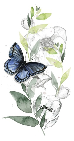 Watercolor Butterfly Collection B