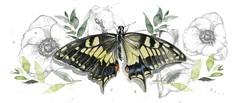 Watercolor Butterfly Collection D