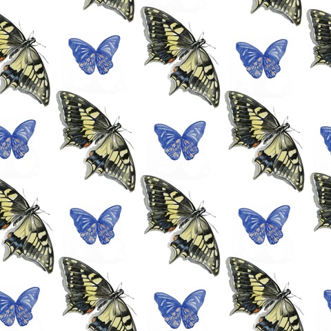 Watercolor Butterfly Collection F