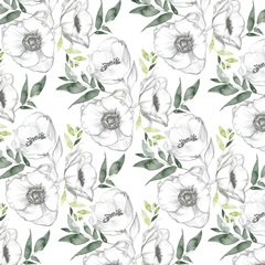 Watercolor Butterfly Collection G