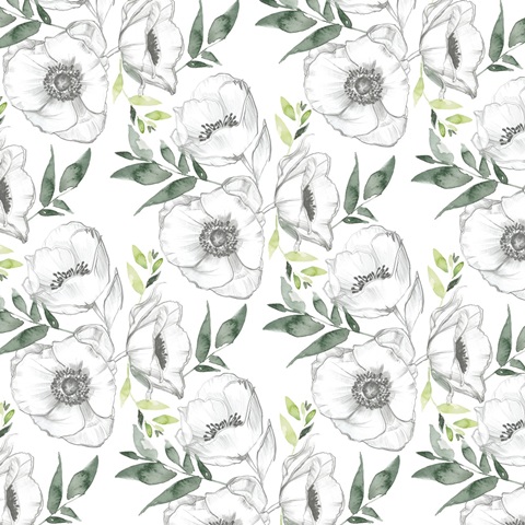 Watercolor Butterfly Collection G