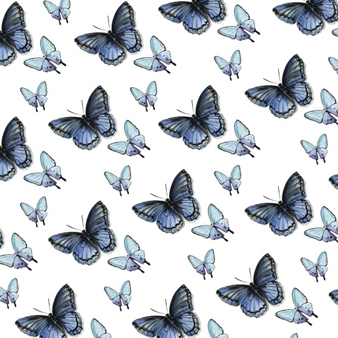 Watercolor Butterfly Collection H