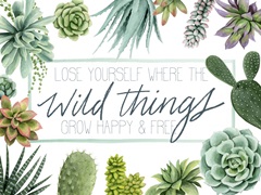 Wild Terrarium Collection A
