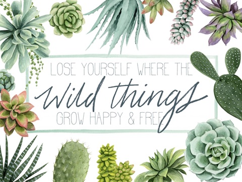 Wild Terrarium Collection A