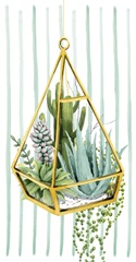 Wild Terrarium Collection B