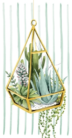 Wild Terrarium Collection B