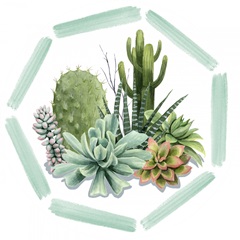 Wild Terrarium Collection C
