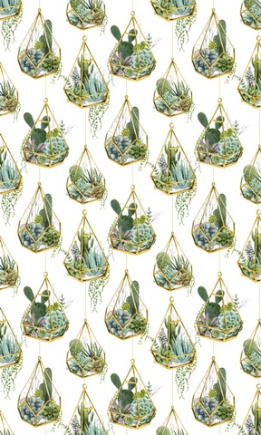 Wild Terrarium Collection E