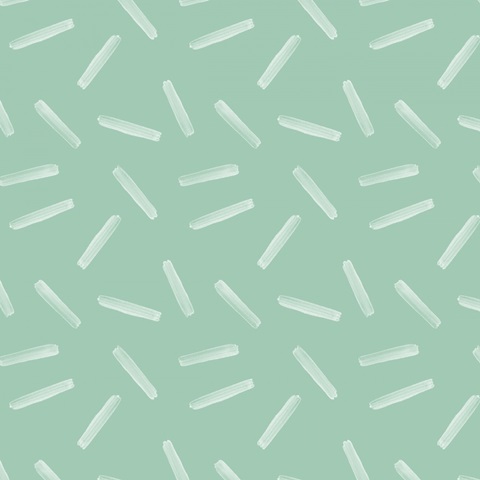 Wild Terrarium Collection F