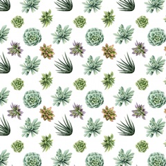 Wild Terrarium Collection G