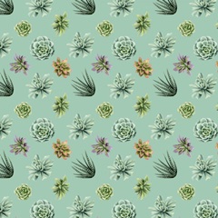 Wild Terrarium Collection H