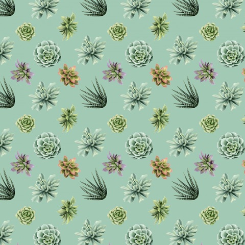 Wild Terrarium Collection H