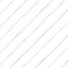 Wild Terrarium Collection I