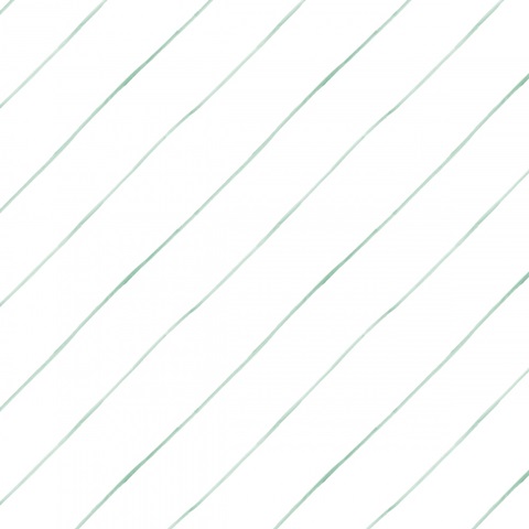 Wild Terrarium Collection I