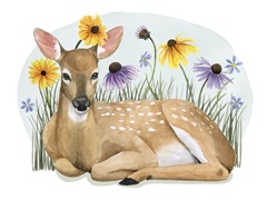 Wild Woodland Collection A