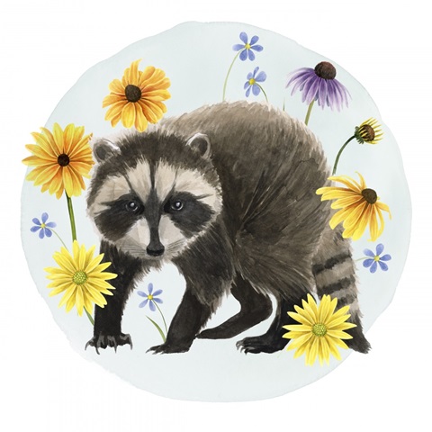 Wild Woodland Collection C