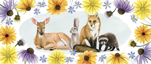 Wild Woodland Collection D