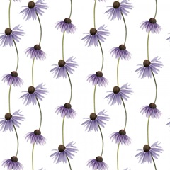 Wild Woodland Collection F