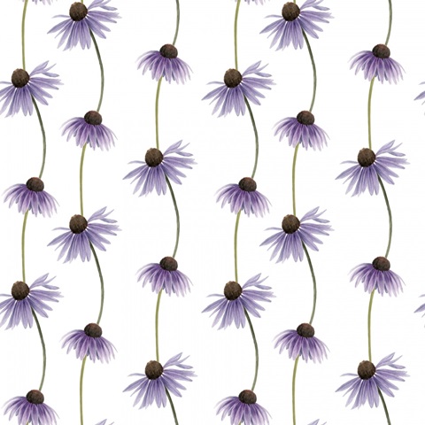 Wild Woodland Collection F