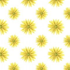 Wild Woodland Collection G