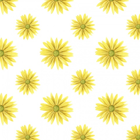 Wild Woodland Collection G