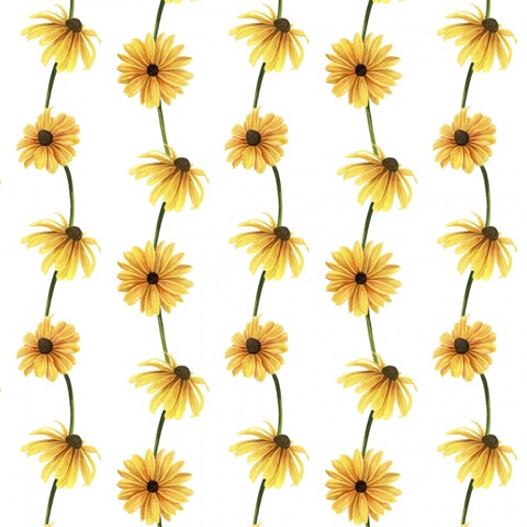 Wild Woodland Collection H