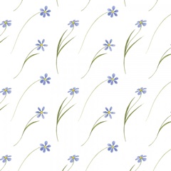 Wild Woodland Collection I