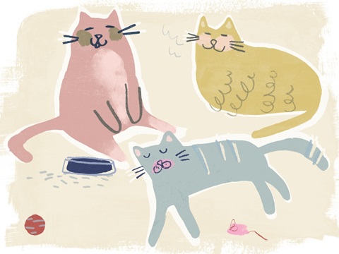 Cat Squad Collection A