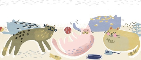 Cat Squad Collection D