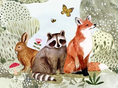 Fox Glen Collection A