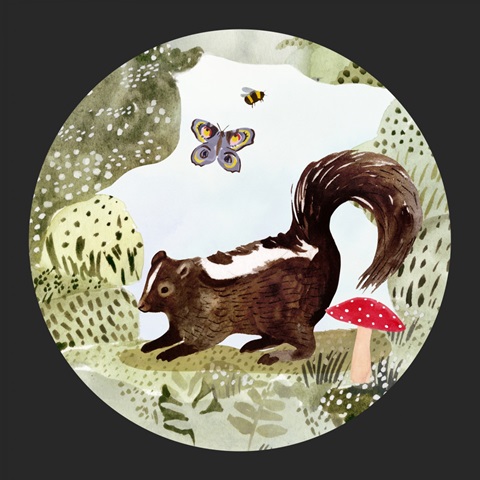 Fox Glen Collection C