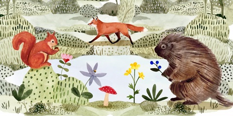 Fox Glen Collection D