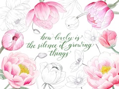 Lovely Garden Collection A