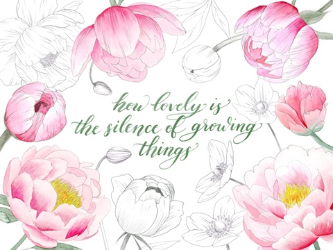 Lovely Garden Collection A