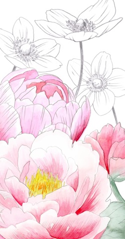 Lovely Garden Collection B