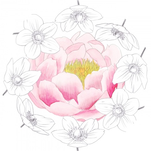 Lovely Garden Collection C