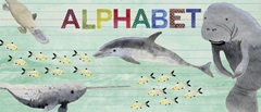 Alphabet Animals Collection D