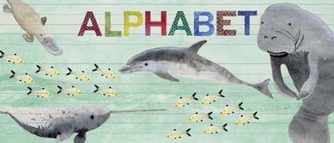 Alphabet Animals Collection D