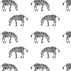 Alphabet Animals Collection H