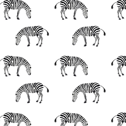 Alphabet Animals Collection H