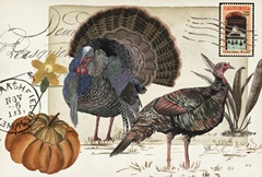 Autumn Palette Collection A