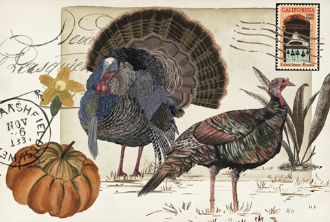 Autumn Palette Collection A