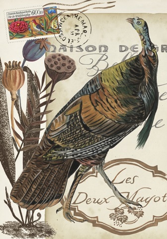 Autumn Palette Collection B