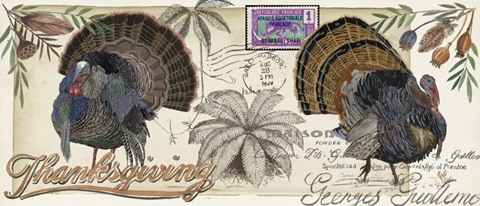 Autumn Palette Collection D